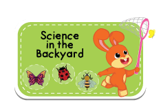 Science & Math Program For Toddlers 3 | ALFAandFriends