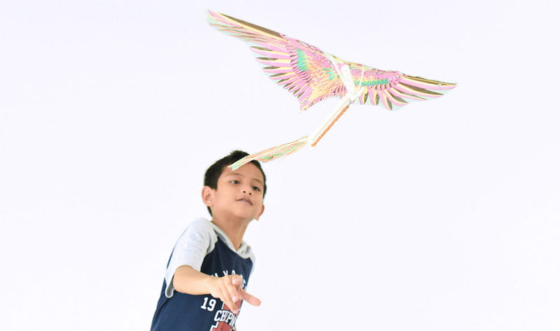 Rubber Band Bird Kit | ALFAandFriends